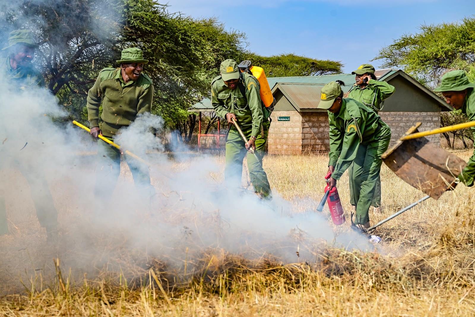 Amboseli community wildlife rangers on active patrol